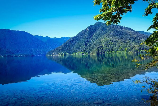 Olympic National Park Day Tour from Seattle - Getting to Olympic Without a Rental Car (and Why Ferries Matter)