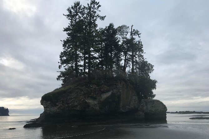 Olympic National Park Day Tour from Seattle - The Twilight-Sphere Break: A Quick Pass Through the Gateway to the Olympics