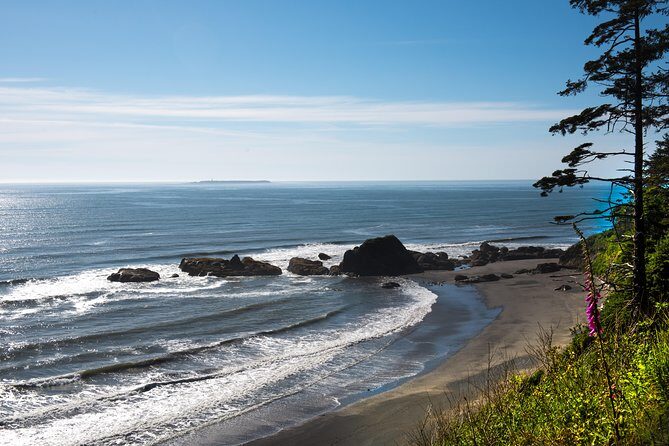 Olympic National Park Day Tour from Seattle - Hurricane Ridge: That 1-Mile Ridgeline Walk With Mountain-and-Sea Views