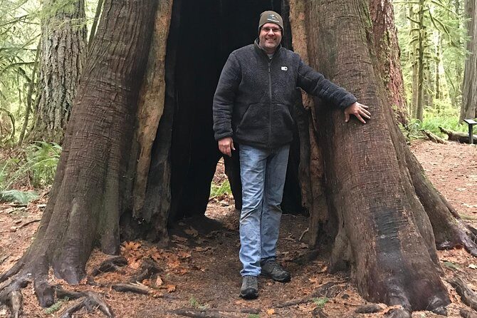 Olympic National Park Day Tour from Seattle - Lake Crescent: Crystal-Clear Water and Old-Growth Forest Trails
