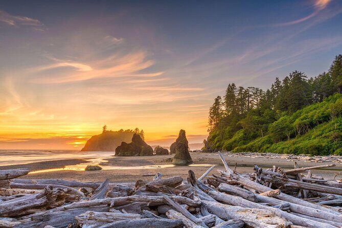 Olympic National Park Small Group Day Tour w/Scenic Ferry 2CanGo - Key takeaways