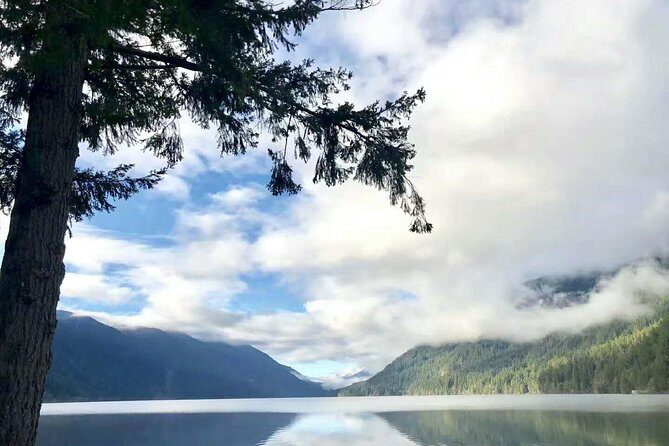 Olympic National Park Small Group Day Tour w/Scenic Ferry 2CanGo - A Seattle Morning With The Bainbridge Ferry Start
