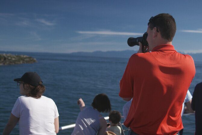 Only Wildlife and Whale Watching Tour Leaving from Seattle - Onboard naturalist talks: why the narration improves the trip