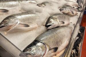Savor the Sea: Guided Seafood Tasting at Pike Place Ma - Stop-by-stop: chowder, smoked salmon jerky, rock cod, poke, and more