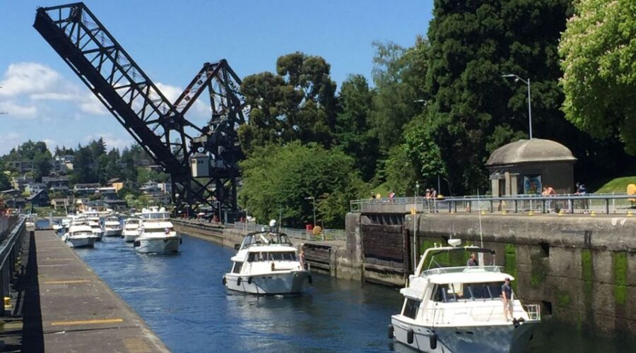Seattle: 3-Hour City Highlights Tour - Pike Place Market: Starbucks and the flying fish moment