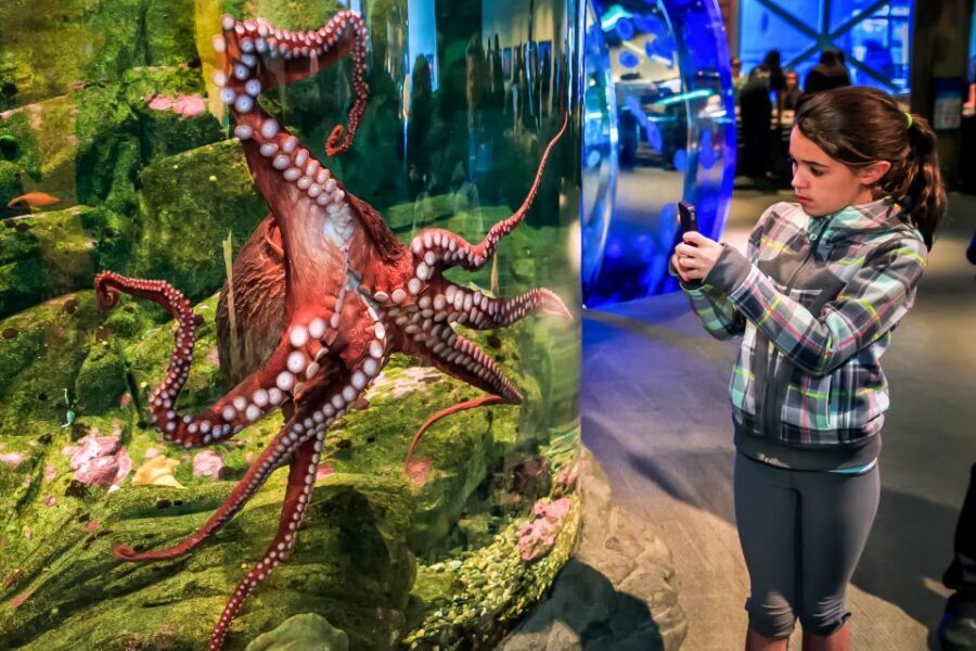 Seattle CityPASS®: Save up to 46% at 5 Top Attractions - Is Seattle CityPASS worth it for your group?