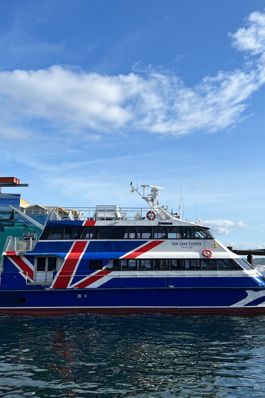 Seattle: Half-Day Wildlife and Whale Watching Cruise - Key things to know before you go