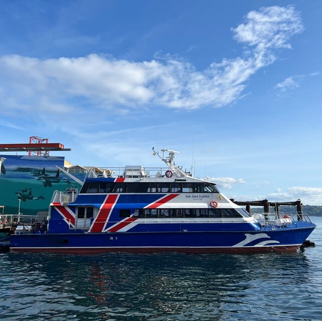 Seattle: Half-Day Wildlife and Whale Watching Cruise - Timing, how long you’re actually out, and what affects sightings