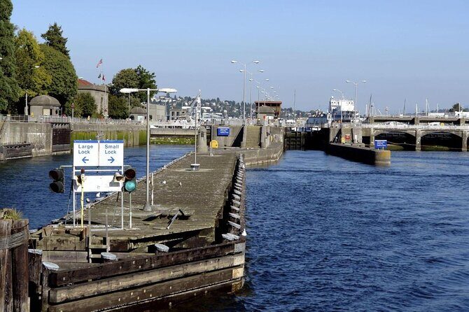Seattle Locks Cruise - Key Points I’d Highlight Before You Go