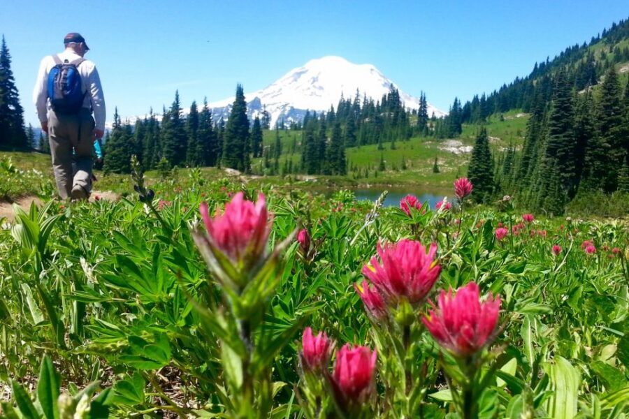 Seattle: Mount Rainier Park All-Inclusive Small Group Tour - Should You Book Evergreen Escapes’ Mount Rainier Day Trip?