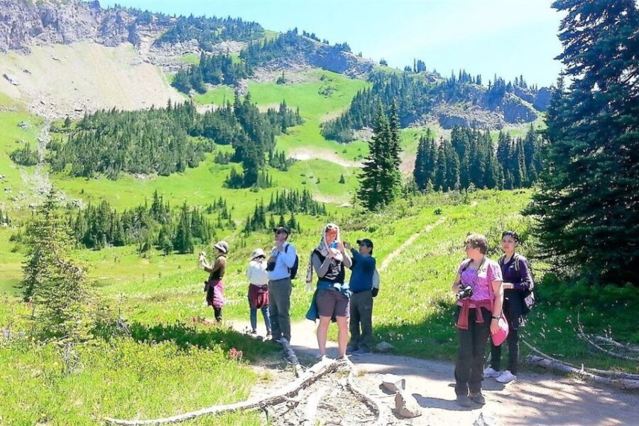 Seattle: Mount Rainier Park All-Inclusive Small Group Tour - Price, Inclusions, and Whether It’s a Good Deal