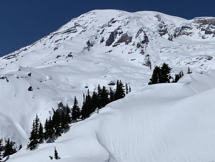 Seattle: Mt. Rainier Park Guided Full-Day Tour - Key highlights