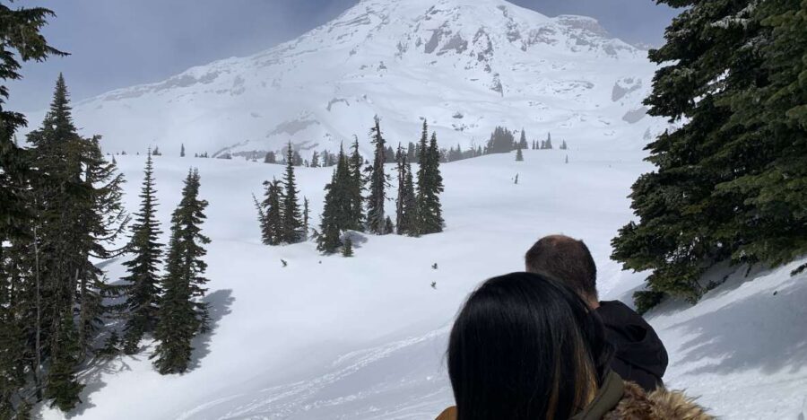 Seattle: Mt. Rainier Park Guided Full-Day Tour - Guided Time on the Ground: Glaciers, Forests, Waterfalls