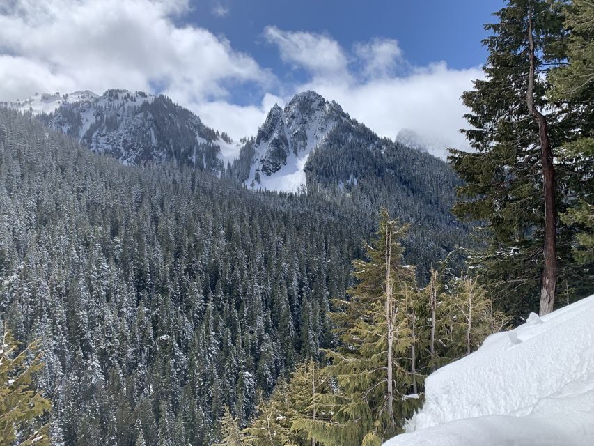 Seattle: Mt. Rainier Park Guided Full-Day Tour - Crampons, Snowshoes, and a Pace That Keeps You Safe