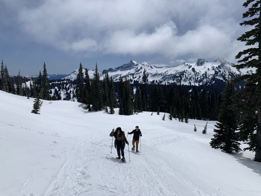 Seattle: Mt. Rainier Park Guided Full-Day Tour - How the Lunch Stop Works (And What to Bring)