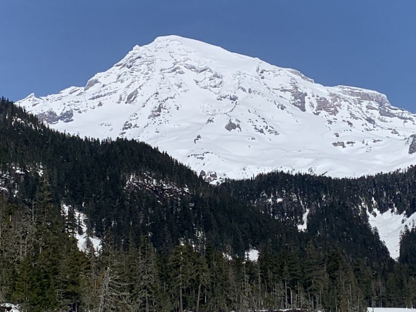 Seattle: Mt. Rainier Park Guided Full-Day Tour - Who Should Book This Rainier Full-Day Plan