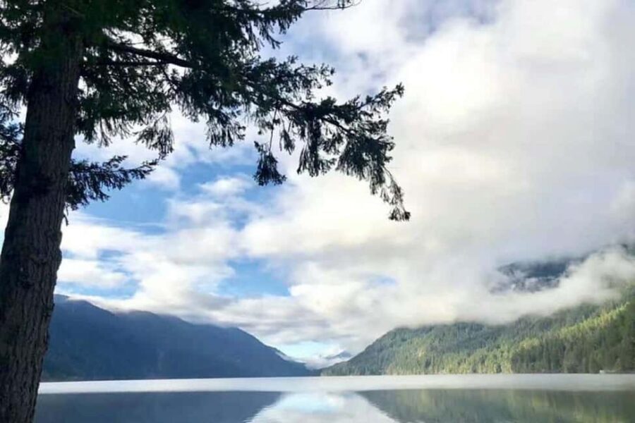 Seattle: Olympic National Park Day Tour with Scenic Ferries - A day that starts with a ferry (and keeps the stress low)