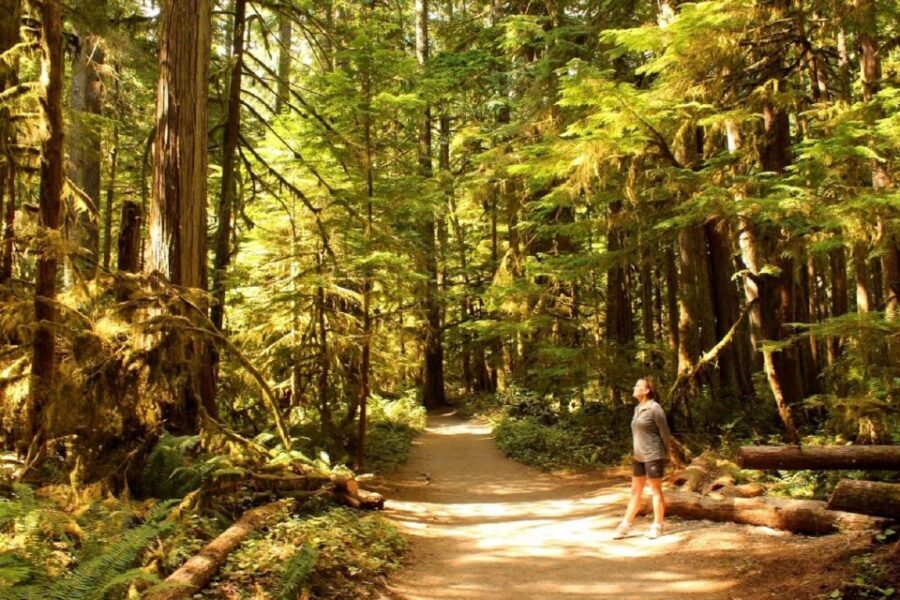 Seattle: Olympic National Park Small-Group Tour - Olympic National Park in one packed day: what you’re really buying