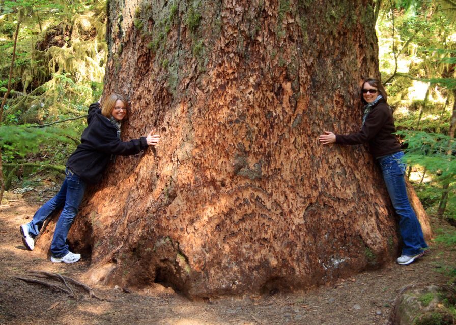 Seattle: Olympic National Park Small-Group Tour - Price and value: is $320 reasonable for this day?