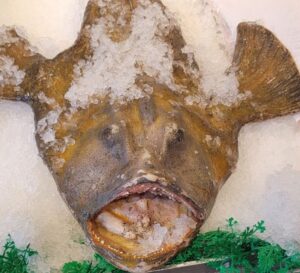 Seattle: Pike Place Market Seafood Tasting Tour - Where You Start: Victrola Coffee to the First Fish Counter