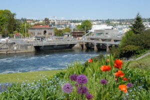 Seattle Pre-Cruise Tour: Transportation & Seattle City Tour - The 10:00 to Pier 66/91 Timing That Keeps You Calm
