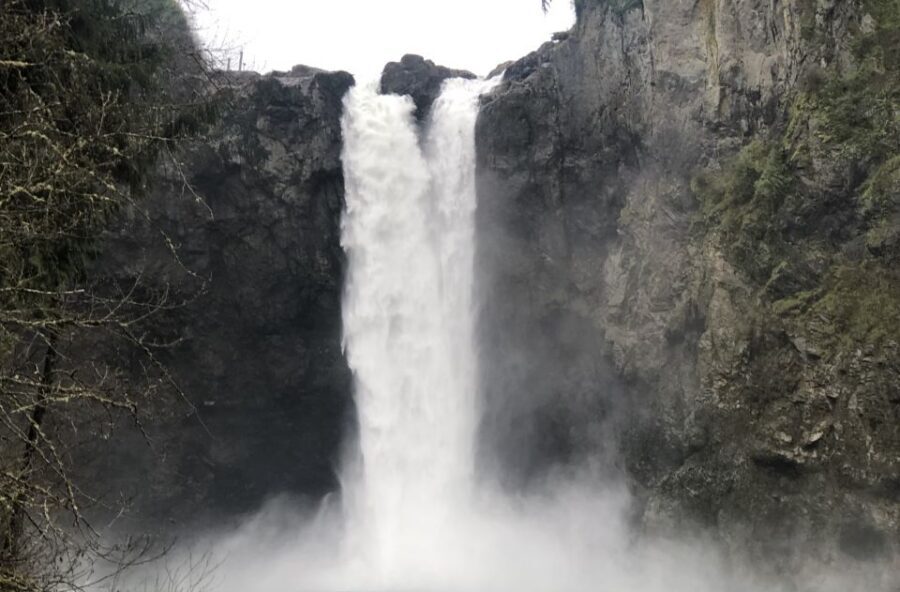 Seattle: Snoqualmie Falls and Twin Falls Guided Tour - Snoqualmie Falls: big water, easy success