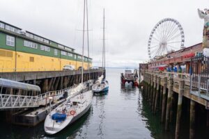 Seattle Waterfront History Walking Tour - Walking the reimagined Waterfront Park pathways and public art