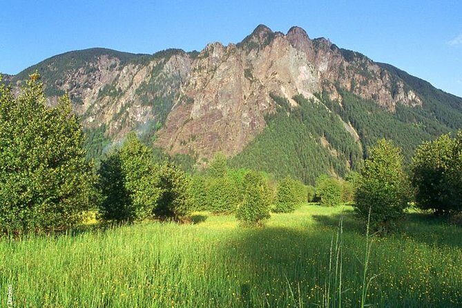 Seattle Wine & Snoqualmie Falls Highlights Tour - How to Make the Day Easier: Timing, Seating, and Rainy-Falls Strategy