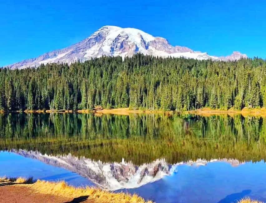 Seattle:Small Group Mount Rainier National Park 1-Day Tour - Summer planning: Longmire, waterfalls, and Paradise at the right pace