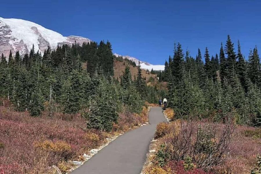 Seattle:Small Group Mount Rainier National Park 1-Day Tour - Hiking or snowshoeing: the right kind of active, not the hardcore kind