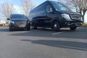 Seattle,Wa Downtown Hotel/Pier/Port Transportation - Where You’ll Be Picked Up: SeaTac, Paine Field, Cruise, Amtrak