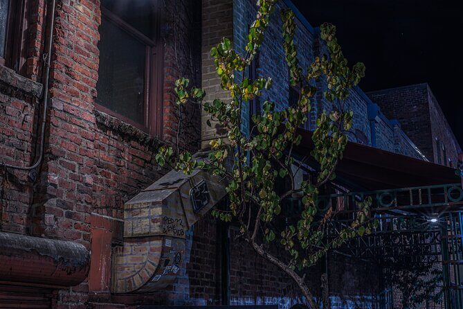 Sinister Sins, Scandal, and Shadows: Seattle Ghost Tour - Stop 2: Haunted Pike Place and Post Alley after dark