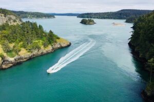 Skagit Valley Birding + Deception Pass Day Tour From Seattle - Skagit Wildlife Area: where winter birds concentrate