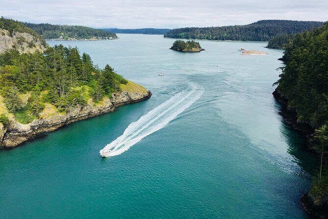 Skagit Valley Birding + Deception Pass Day Tour From Seattle - Skagit Wildlife Area: where winter birds concentrate