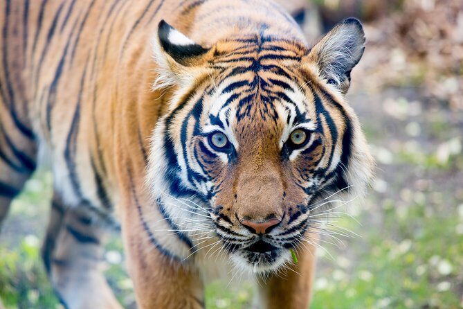 Skip the Line: Daily Admission at Woodland Park Zoo Ticket - Price check: is about $23.04 per person good value?