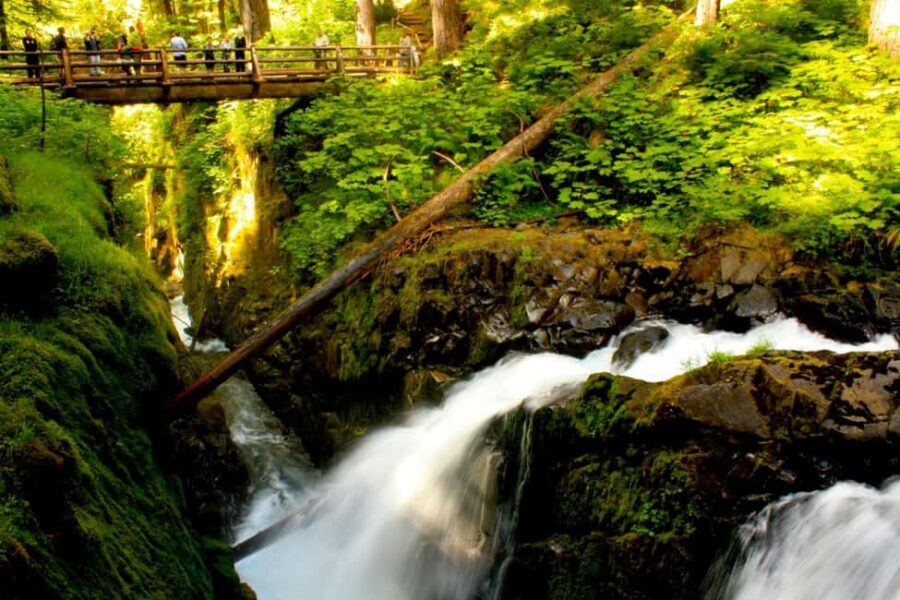 Small Group: Olympic National Park Day Tour From Seattle - Key moments that make this tour worth your time