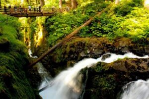 Small Group Olympic National Park Day Tour from Seattle 2CanGo - Hurricane Ridge: that ridgeline hike is the moment