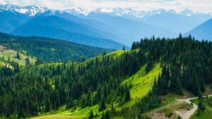 Small Group: Olympic National Park Day Tour From Seattle - Hood Canal Floating Bridge: drive-by scenery you actually remember