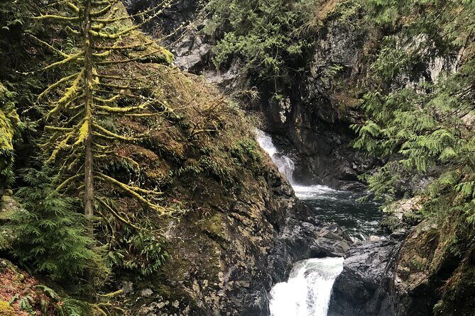 Snoqualmie falls and Twin Falls Hike - Weather matters here: what “good weather” means for your plans