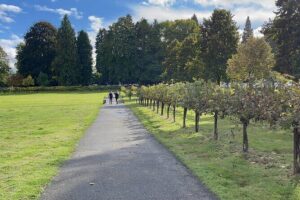 Snoqualmie Falls and Wineries Tour from Seattle - Pickup Timing and the First Reality Check: You Start Early