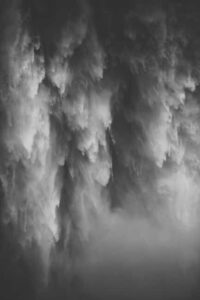 Snoqualmie, Twin Falls & Ancient Forest (Transport Included) - Zeitgeist Coffee meetup: easy start, easy finish