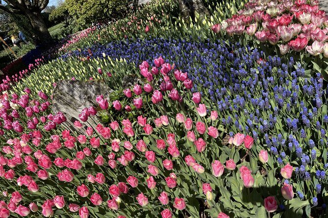 Tulip Festival in Skagit Valley Tour from Seattle - Getting picked up in downtown Seattle without losing half your morning