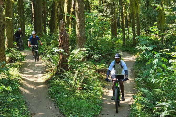Viator Exclusive - Half Day Mountain Bike Tour from Seattle - What you ride: full-suspension bikes and real protection