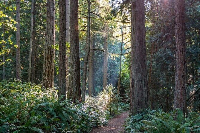 Visit Snoqualmie and Hike to Twin Falls (Transportation included) - Olallie State Park: temperate rainforest time that feels real