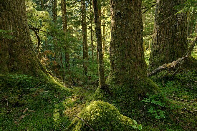 Visit Snoqualmie and Hike to Twin Falls (Transportation included) - Group size, van rides, and the rhythm of a half-day