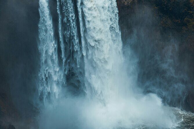 Visit Snoqualmie waterfall and an old forest (Transport Included) - When weather changes the plan: winter reality near Seattle