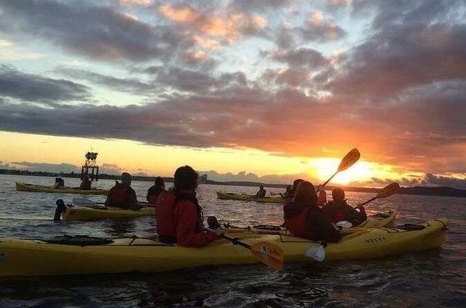 West Seattle Sunset Sea Kayak Tour - Price and What You Really Get for $139.99