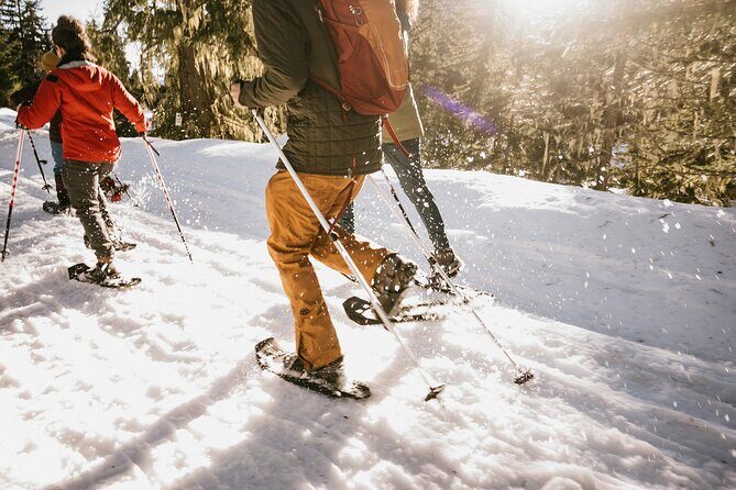 Winter Day Tour to Longmire on Mount Rainier from Seattle - A Winter-Friendly Way to See Longmire from Seattle